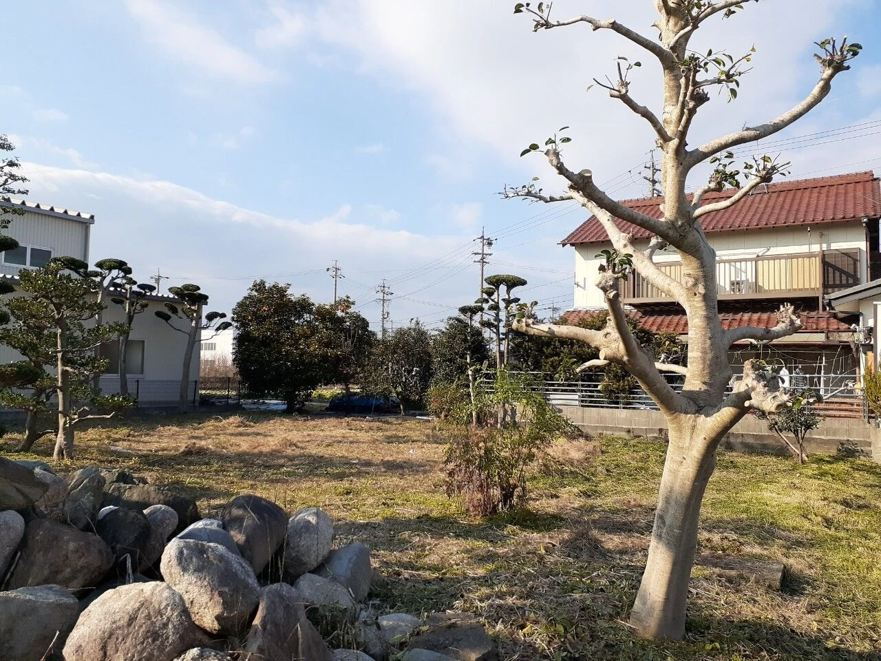 画像6359：剪定＆草刈→ゴミ拾い→除草剤散布