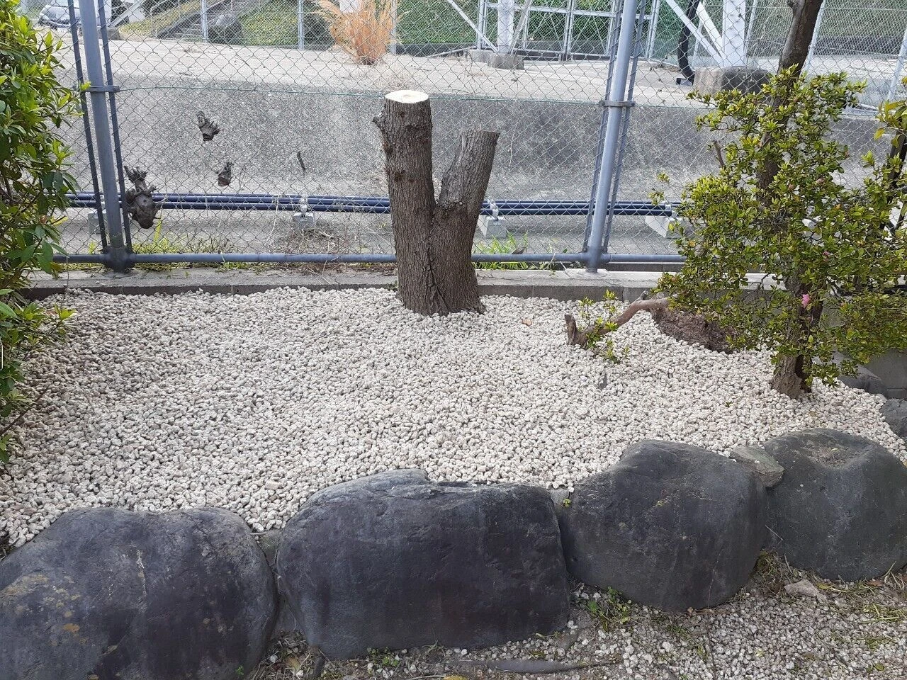 画像6368：除草＆砂利敷
