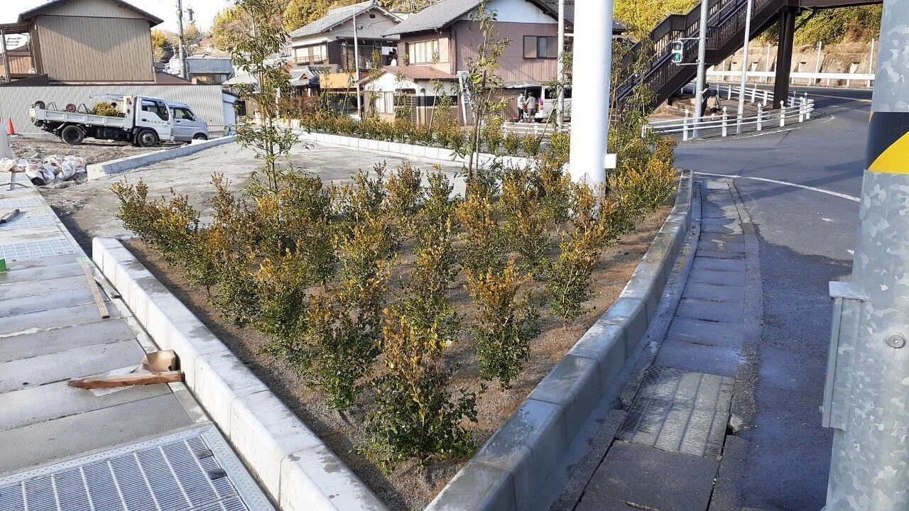画像6531：植栽